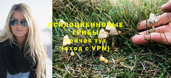 прущие крисы Абдулино