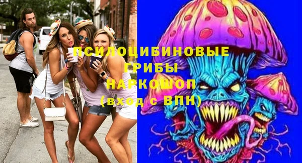 СК Абаза