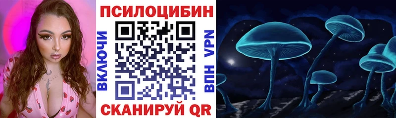 как найти наркотики  Духовщина  Псилоцибиновые грибы MAGIC MUSHROOMS 